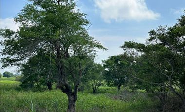 TERRENO EN VENTA EN ZONA PARRILLA CON 63 MTS DE FRENTE