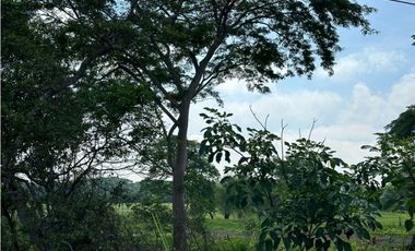 TERRENO EN VENTA EN ZONA PARRILLA CON 63 MTS DE FRENTE