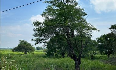 TERRENO EN VENTA EN ZONA PARRILLA CON 63 MTS DE FRENTE