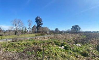 Parcela en Venta en zapallar condominio el monte
