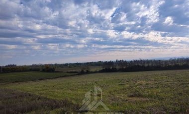 Parcela en Venta en Pelarco