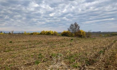 Parcela en Venta en Pelarco