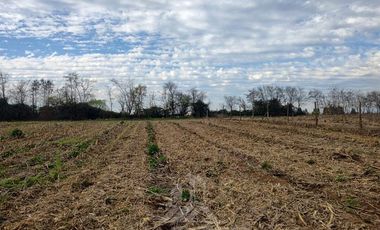 Parcela en Venta en Pelarco