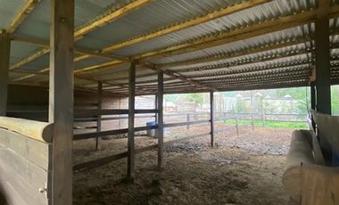 Casa en Venta en Sector Los Boldos, Pimpinela