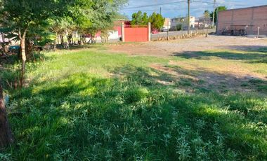 TERRENO EN RENTA SAN ISIDRO, LERDO DURANGO.