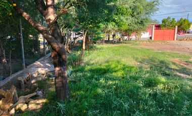 TERRENO EN RENTA SAN ISIDRO, LERDO DURANGO.