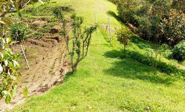 Finca para la venta con muy buena vista