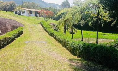 Finca para la venta con muy buena vista