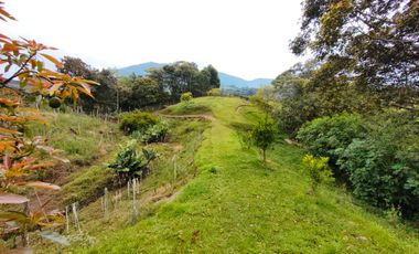 Finca para la venta con muy buena vista
