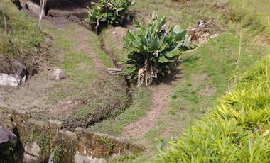 Finca para la venta con muy buena vista