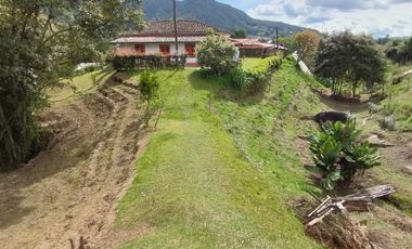 Finca para la venta con muy buena vista