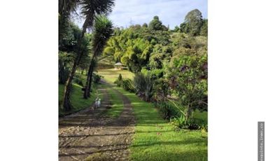 VENTA FINCA-LOTE INDUSTRIAL EN CALDAS, ANTIOQUIA