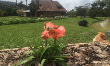 FINCA ANOLAIMA CUNDINAMARCA