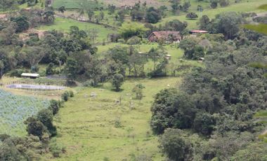 FINCA ANOLAIMA CUNDINAMARCA