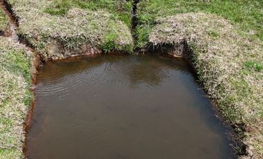 Finca oriente Antioqueño.