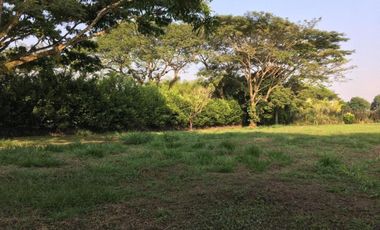 LOTE OCEANO VERDE