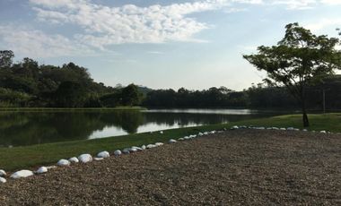 LOTE OCEANO VERDE
