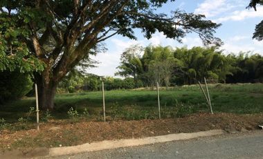 LOTE OCEANO VERDE