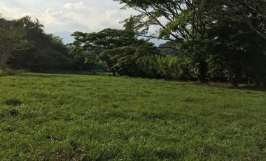 LOTE OCEANO VERDE