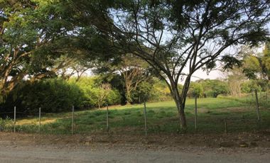 LOTE OCEANO VERDE