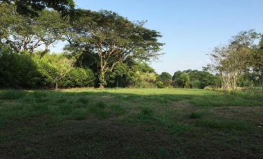 LOTE OCEANO VERDE