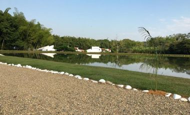 LOTE OCEANO VERDE