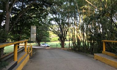 LOTE OCEANO VERDE