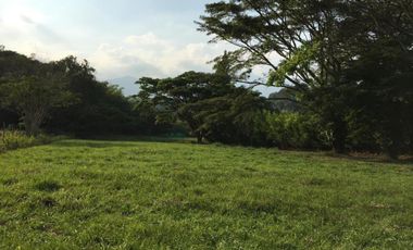 LOTE OCEANO VERDE