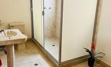 Casa en Renta en Anzures Miguel Hidalgo BHR1015