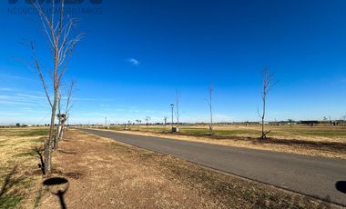 Terreno de 1035 m² con Posesión Inmediata en Vida Club de Campo - Financiación Disponible