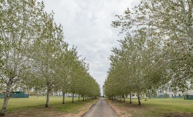 Terreno en  VENTA HARAS DE FUNES