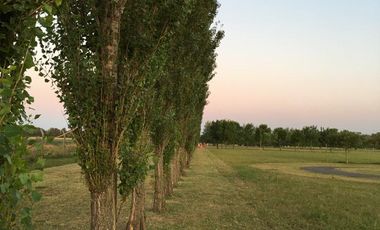 Terreno en  VENTA HARAS DE FUNES