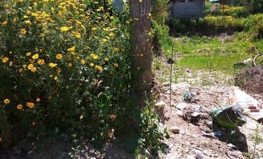 VENTA DE TERRENO EN CAMINO VERDE