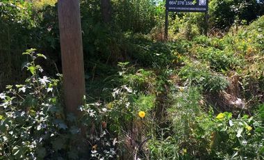 VENTA DE TERRENO EN CAMINO VERDE