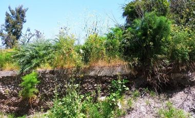 VENTA DE TERRENO EN CAMINO VERDE