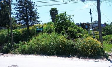 VENTA DE TERRENO EN CAMINO VERDE