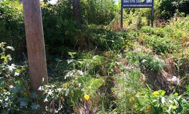 VENTA DE TERRENO EN CAMINO VERDE