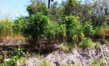 VENTA DE TERRENO EN CAMINO VERDE