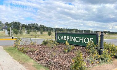 Terreno en venta en esquina Carpinchos Nordelta
