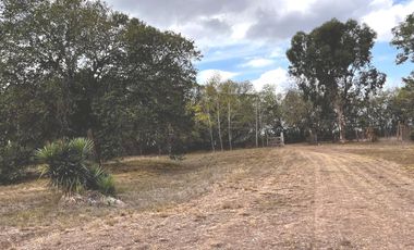 Almirante Brown Venta terreno