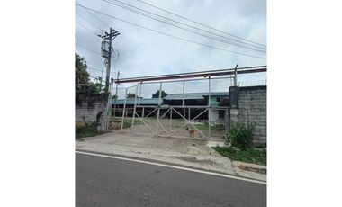 ALQUILO BODEGA EN PEDREGAL