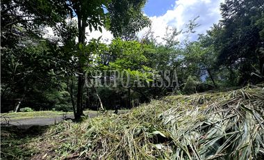 Oportunidad! Se Vende Amplio terreno en Altos del Maria