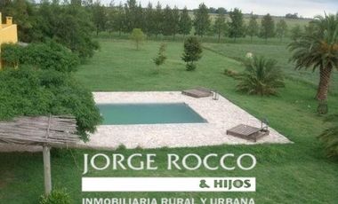 Campo en Venta en Ranchos. 225 Has. mixto sobre ruta
