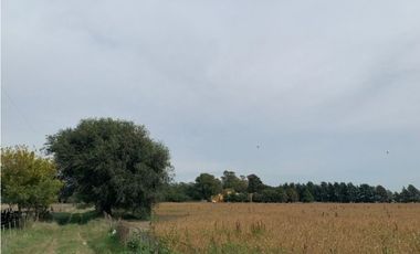 Campo en Venta en Ranchos. 225 Has. mixto sobre ruta