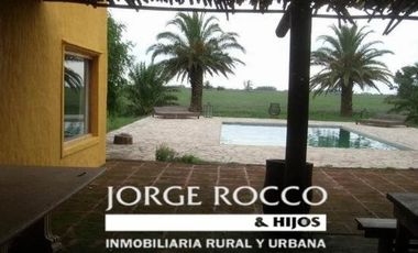 Campo en Venta en Ranchos. 225 Has. mixto sobre ruta