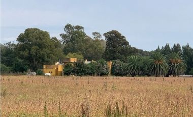 Campo en Venta en Ranchos. 225 Has. mixto sobre ruta