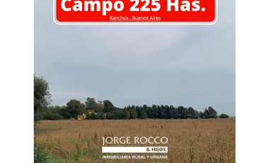 Campo en Venta en Ranchos. 225 Has. mixto sobre ruta