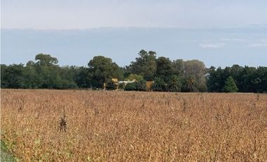 Campo en Venta en Ranchos. 225 Has. mixto sobre ruta