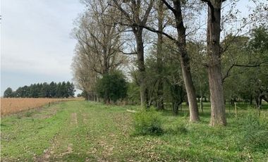 Campo en Venta en Ranchos. 225 Has. mixto sobre ruta