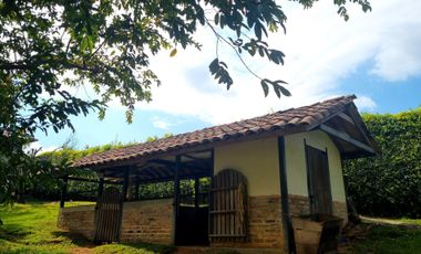 Finca Venta Vía Cerritos Pereira La Virginia